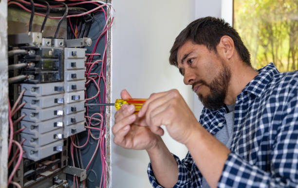 Best Local Electrician Companies  in Farm Loop, AK